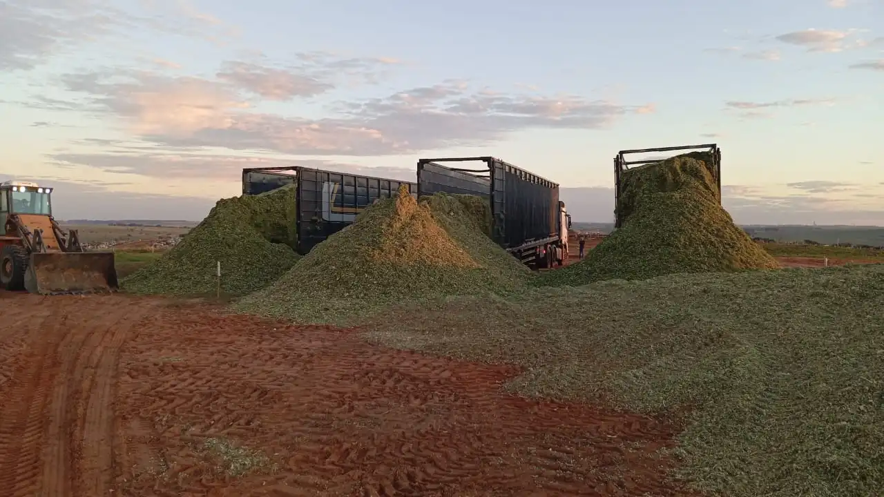 Transporte de silagem para alimentação animal - Fifi Transportes